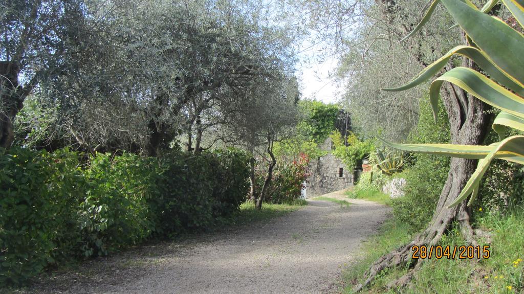 Villa Des Oliviers Le Tignet Exterior photo